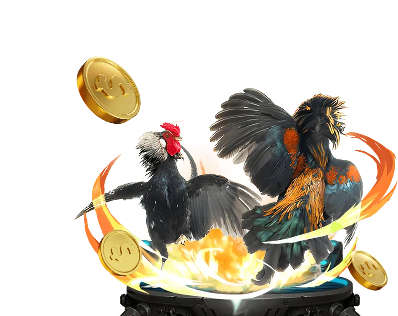 Cam kết của bong vip